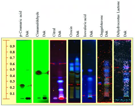 High Performance Thin Layer Chromatography And Marker Based