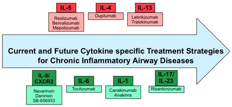 IJMS Free Full Text Targeting Cytokines As Evolving Treatment