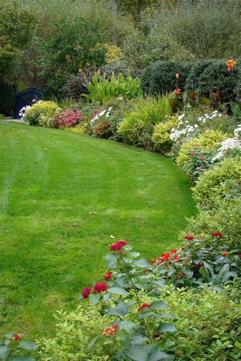 20 Garden Border Planting Ideas To Try This Year Sharonsable