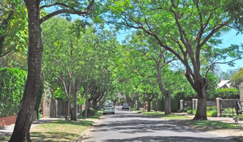 Jardim Am Rica S O Paulo Sp Veja Como Morar No Bairro