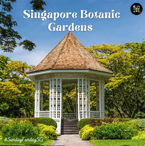 Singapore Botanic Gardens