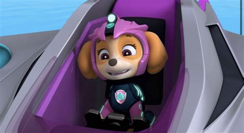 Pin By Thomas Ash On Paw Patrol Aqua Pups Sky Paw Patrol Skye Paw