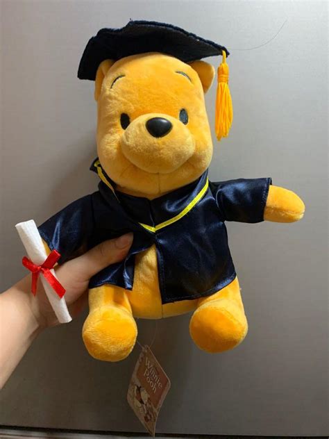 Winnie The Pooh Graduation Bear Hobbies Toys Toys Games On Carousell