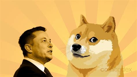 Elon Musk And Dogecoin — Doge Is Elons Favorite Crypto Coincodex