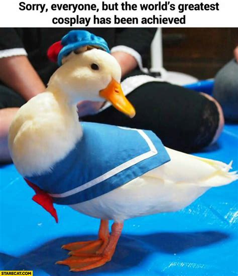 World greatest cosplay duck dressed as Donald Duck | StareCat.com