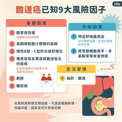 「隱藏版癌王」是膽道癌！常見疑問一次看 醫：7成患者發現已晚期 千萬別輕忽腸胃不適