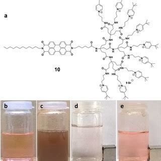 A Structure Of Colored Amphiphiles B A Solution Of In Water