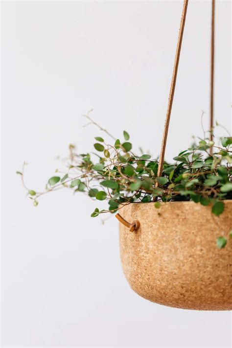 Large Hanging Planter