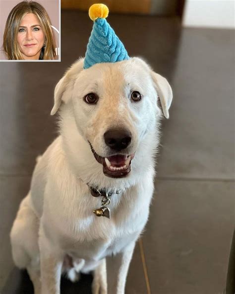 Jennifer Aniston Marks 1 Year Since Adopting Pup Lord Chesterfield