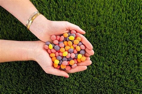 Nerds Big Chewy Candy 6 Ounce Pack Of 12 Delicious Assorted Flavors