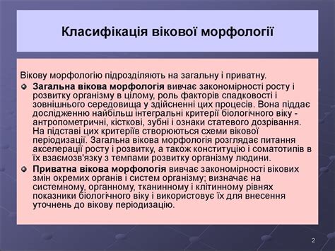 Основи вікової морфології - презентация онлайн