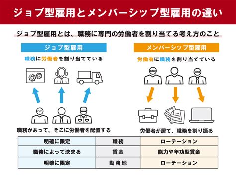 ジョブ型雇用とは？メンバーシップ型との比較や導入のポイントを解説 ツギノジダイ