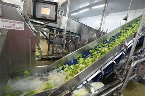 Meuse Bonduelle Abandonne Son Activit Salade En Sachet En France Et