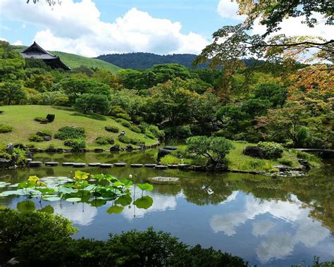 THE 15 BEST Things to Do in Nara (2025) - Must-See Attractions