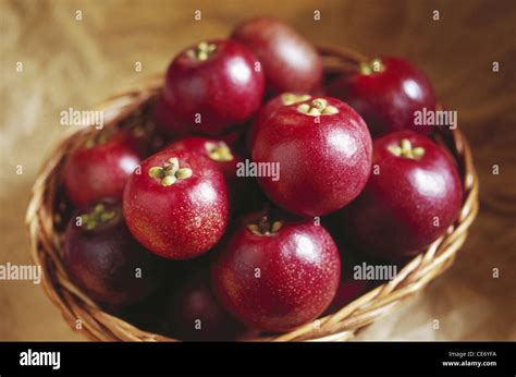 Indian Kokum Kokam Fruit In Cane Basket Garcinia Indica India