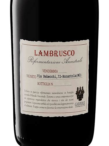 Gavioli Antica Lambrusco Rifermentazione Ancestrale Vivino Us