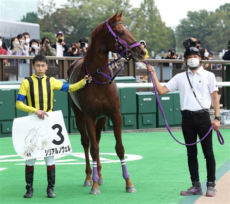 ブービー人気シリアルノヴェルv 東京芝二千2歳新馬で史上最速タイム／新馬戦 2歳馬特集 競馬写真ニュース 日刊スポーツ