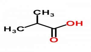 Cido Isobut Rico F Rmula Propiedades Y Usos Acidos Co