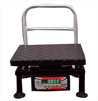 GT Scale 100kg x 10gm Ms weight machine for shop weight scale for kirana computer kanta taraju ...