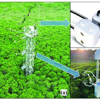 The Landscape Around The Mangrove Flux Tower A With Spectral B And