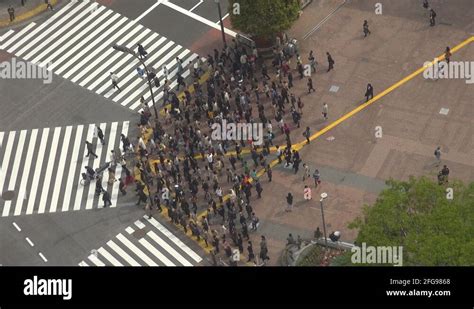 Pedestrian Crossing Street Zebra Stock Videos Footage HD And 4K