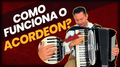 Como Que Funciona O Acordeon Youtube