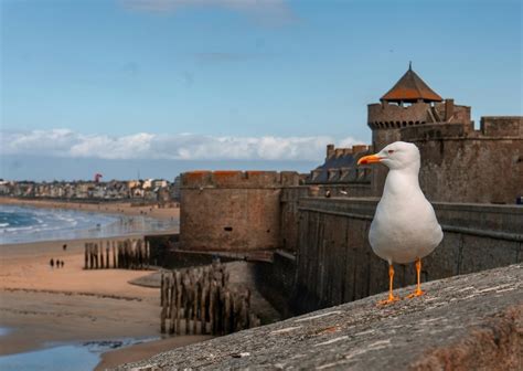 Saint Malo En Famille Que Faire Avec Les Enfants Pendant Les Vacances
