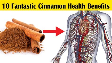 Top 10 Health Benefits Of Cinnamon What Does Cinnamon Do For Your Body Youtube