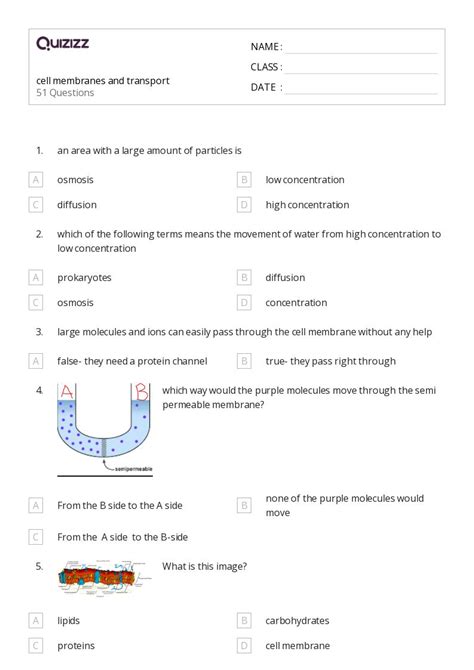 Membranes And Transport Worksheets For Th Grade On Quizizz Free