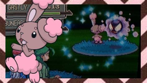 LIVE Shiny Buneary In The Eterna Forest After 12k REs In Pokemon