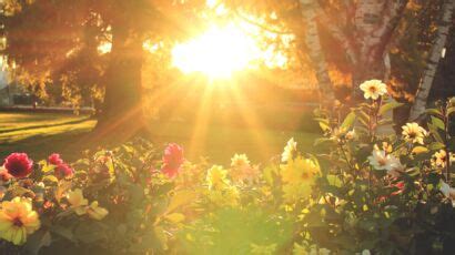 Plantes Qui R Sistent Bien Au Froid Femme Actuelle Le Mag