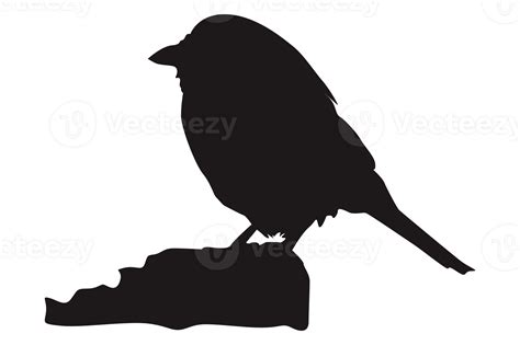 Perched Bird Silhouette On Transparent Background 23629732 PNG