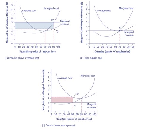 reading profits  losses   average cost curve microeconomics
