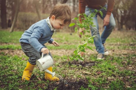 All About Watering And Irrigation In Gardening Food Gardening Network