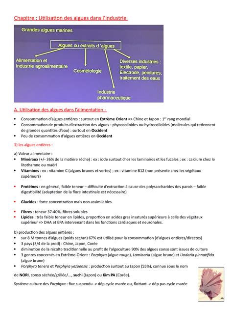 Chapitre 4 Utilisation Des Algues Dans L Industrie Utilisation Des