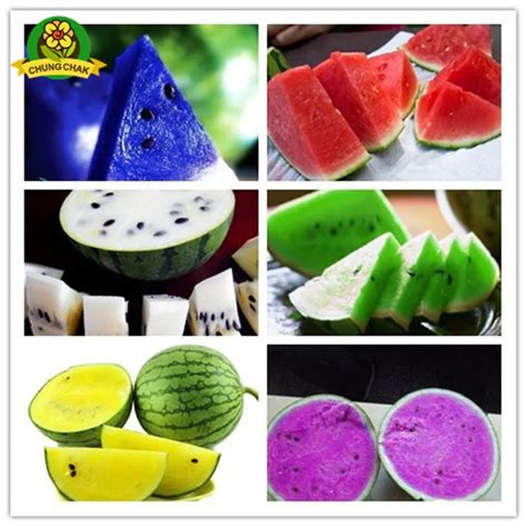 Home Garden Heirloom Watermelon Seeds 50pcs Sweet Taste Fruit Vegetable ...