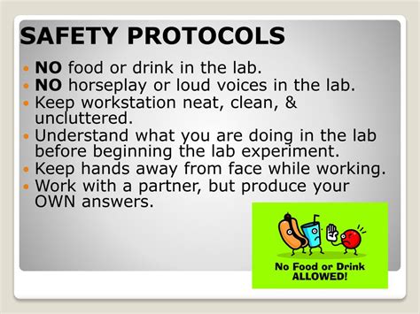 Ppt Lab Safety Rules Powerpoint Presentation Free Download Id 5889301