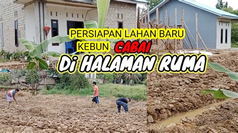 Cara Membuat Bedengan Di Lahan Basah Berlumpur Yang Benar Untuk Tanam