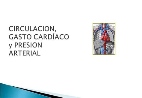 PPT CIRCULACION GASTO CARD ACO Y PRESION ARTERIAL PowerPoint