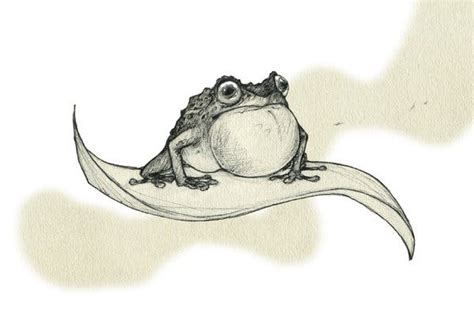 The Sound of One Shrimp Snapping - The New York Times