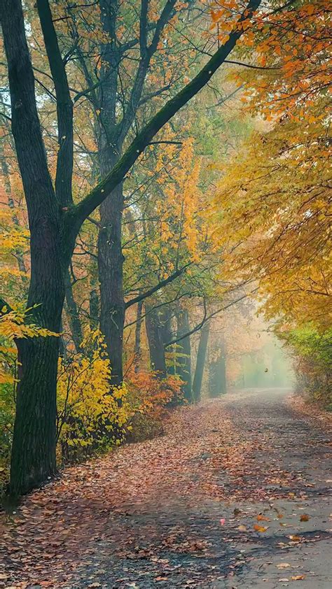 Les Magnifiques Couleurs De L Automne En Loz Re Ville De Mende Manzara