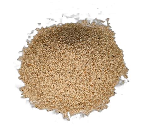 Brown Dried Khas Khas Seeds For Cooking Packaging Type Loose At Rs