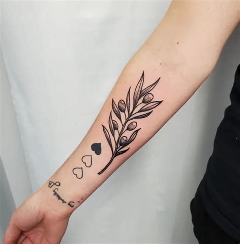 Olive Branch Tattoo Designs To Embrace Peace