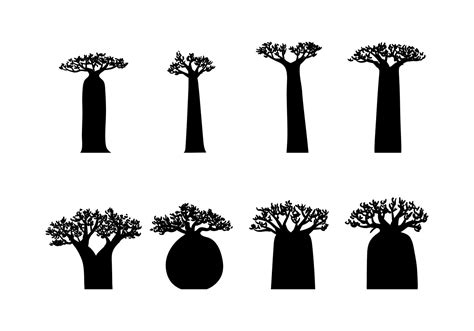 Baobab Silhouette Vector Vector Art At Vecteezy