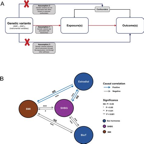 Putative Causal Inference For The Relationship Between Obesity And Sex