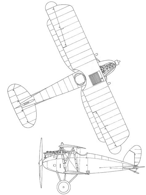 Albatros Dxii Blueprint Download Free Blueprint For 3d Modeling