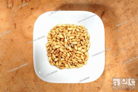 Naked Barley In Dish From Above Stock Photo Picture And Rights