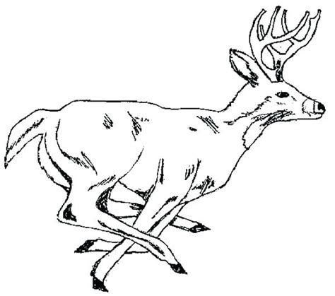 Hunting Coloring Pages At Getcolorings Free Printable Colorings