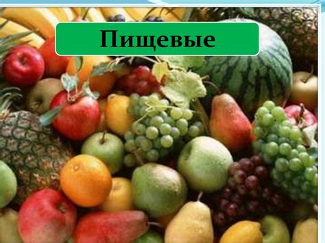 Значение растений в природе и жизни человека - online presentation