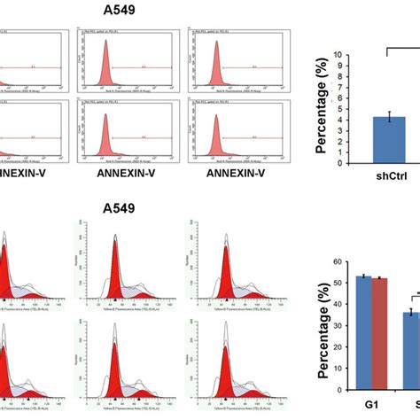 Figure S Acot Knock Down Induced Apoptosis And Cell Cycle